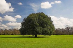 Vivere l'Ambiente